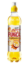 PepsiCo Pepsi Gastronomie PET-Mehrweg / -Einweg & Dose Produkte Punica Abenteuer Apfel - Maracuja