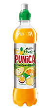 PepsiCo Pepsi Gastronomie PET-Mehrweg / -Einweg & Dose Produkte Punica Abenteuer Multifrucht